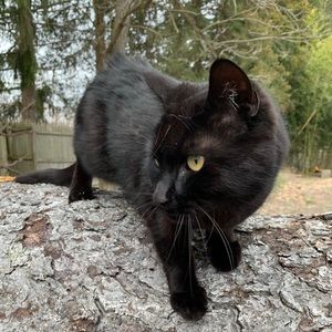 Meet your Posher, Elisabeth